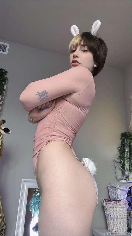 indigowhite image #71