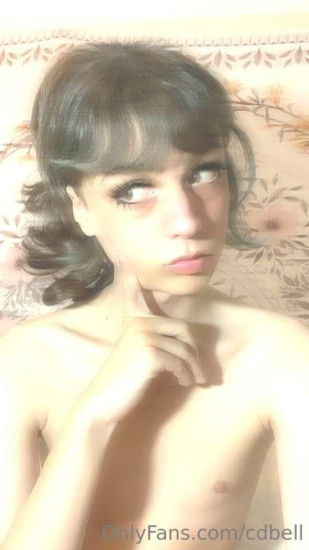 cdbell image #5