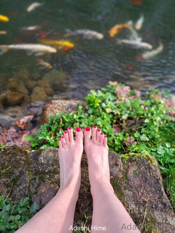 Just chilling… I love this place 🐟🌿
