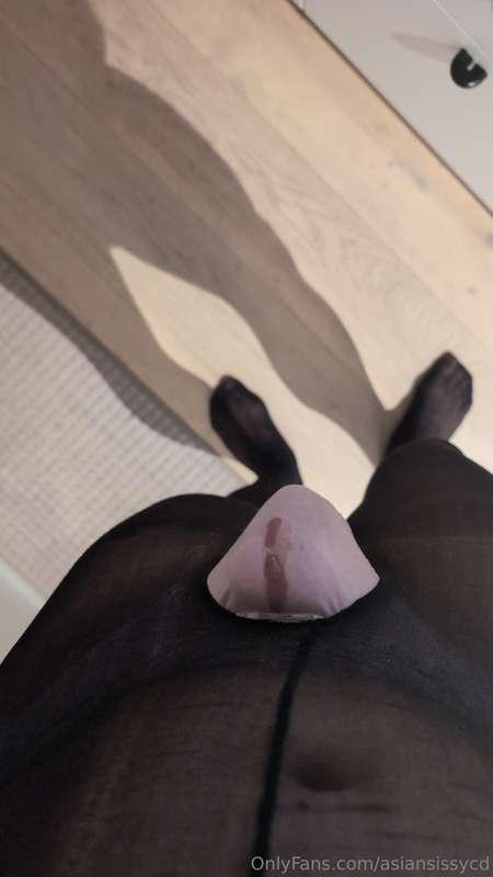 asiansissycd image #4