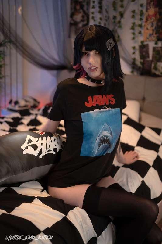 little_emo_kitten image #9