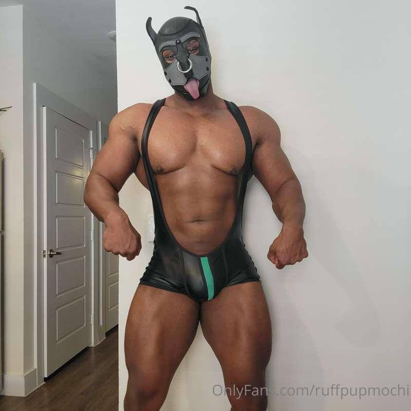 Hefty Pup ready to tag in 😈😈