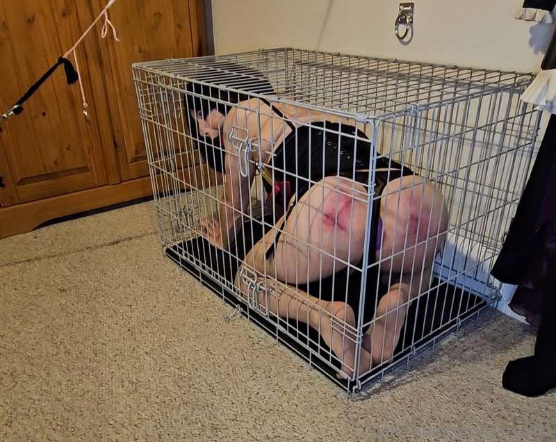 Naughty sissies get put in cages 😈