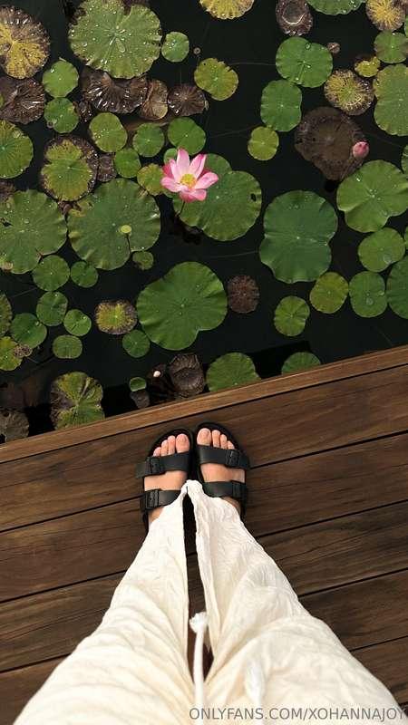 Where is your dream place?😍