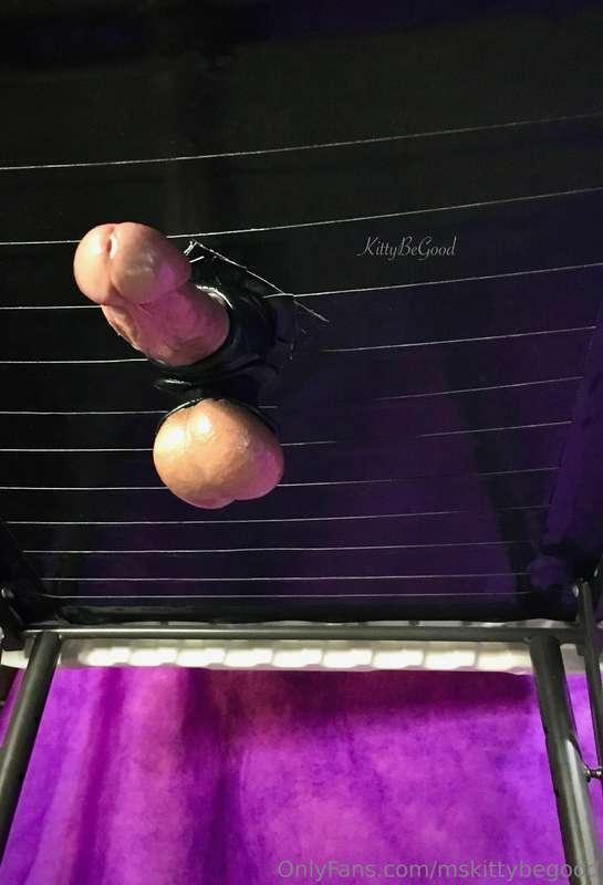 This cock is hard and ready to be serviced by Ms Kitty 😻💦