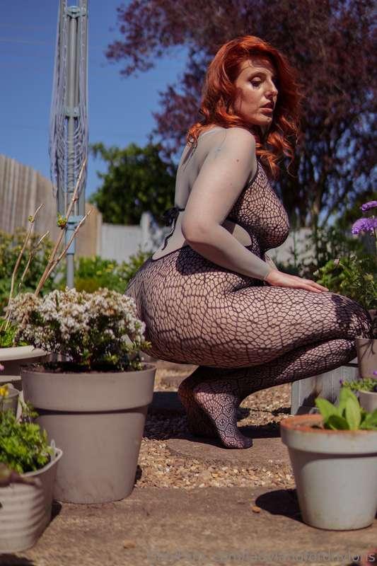 ladylangfordnylons image #6