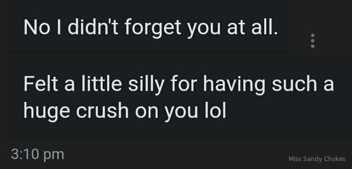 freesandychokes image #6