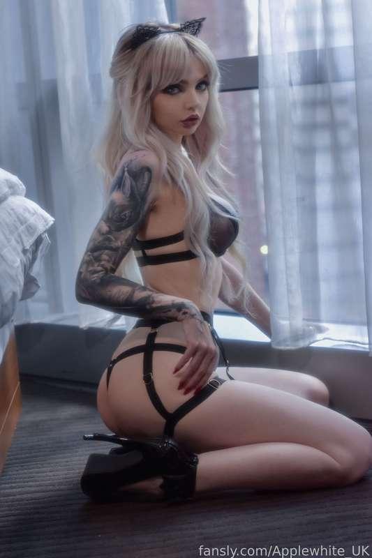 applewhite_uk image #6