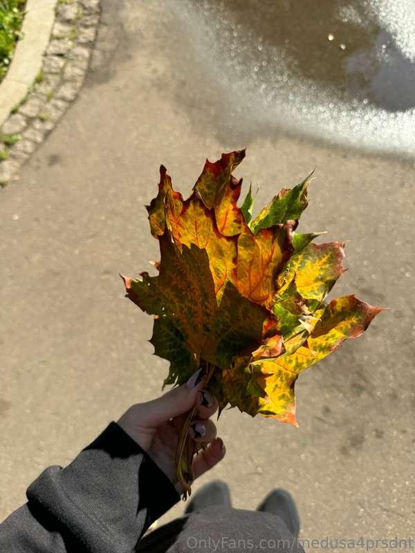 medusa4prsdnt image #0