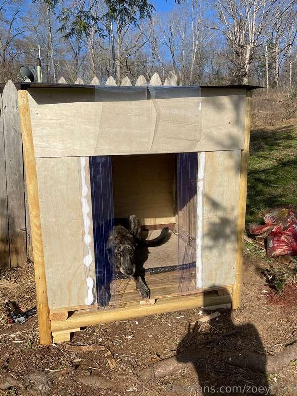 We built a dog house😍