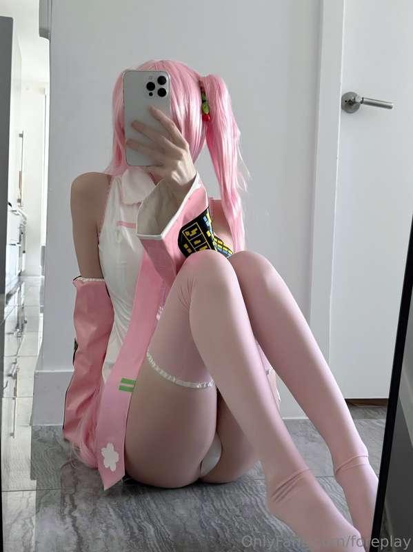 sakura miku 🌸 