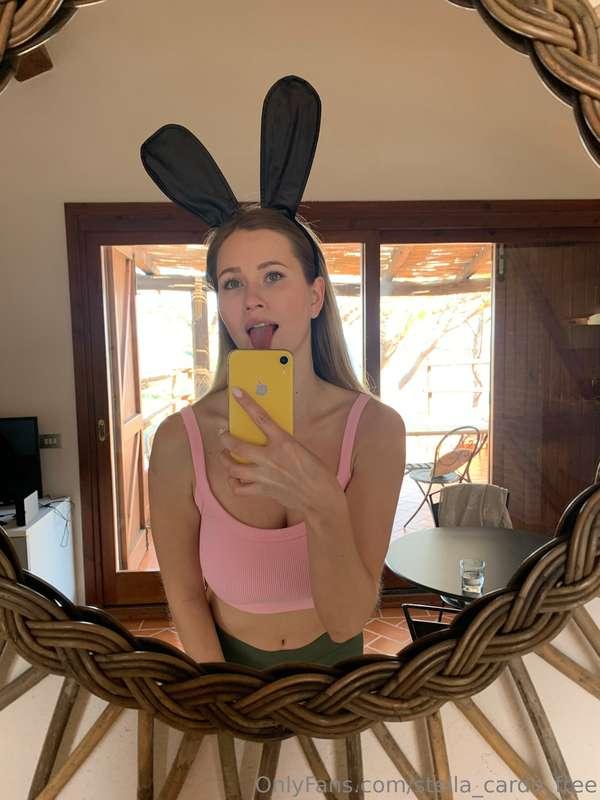 stella_cardo_blog image #0