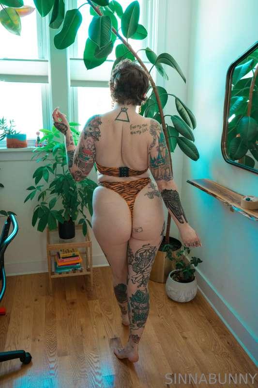 sinnabunny.premium image #4