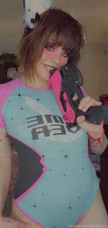coophound image #1