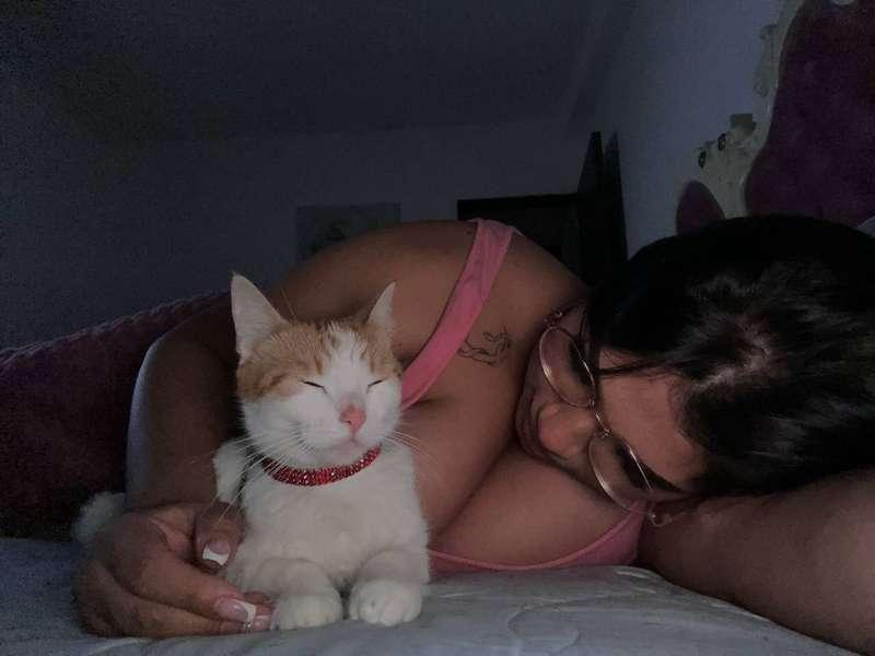 Two pussies in one picture, don't ask me about the other one..