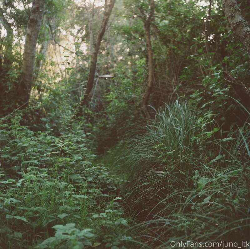 Here are some film photos I took on a camping trip recently ..