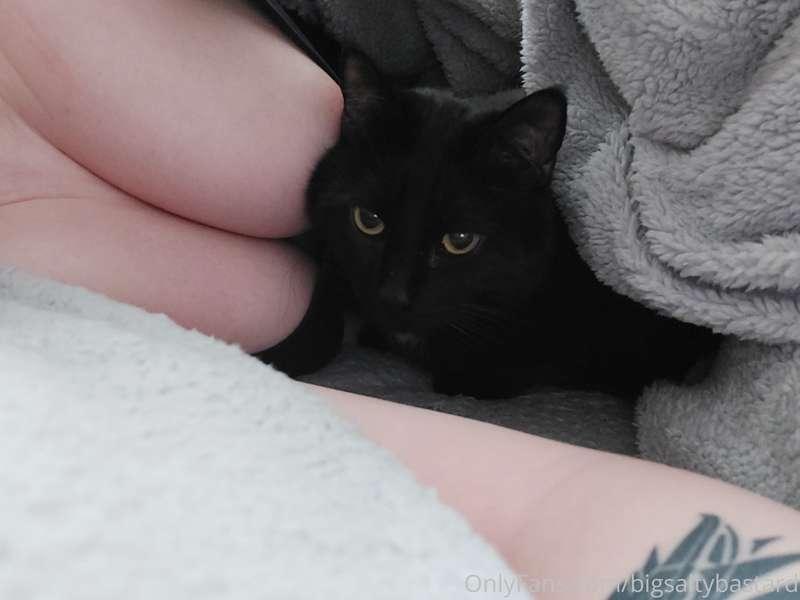 Good morning from my kitty and my titties 😁🖤