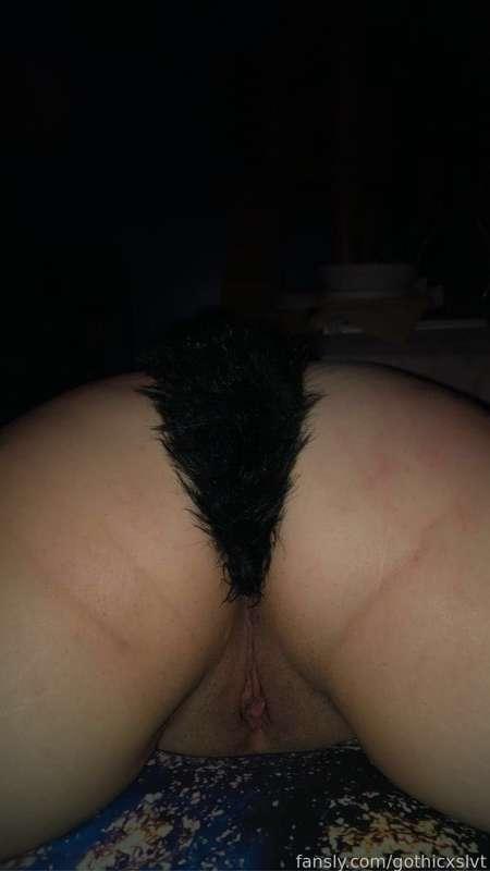 gothicxslvt image #4