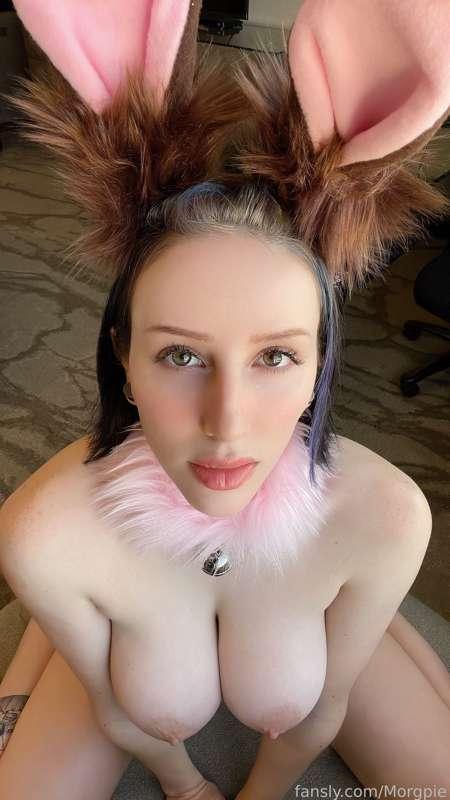 morgpie image #32