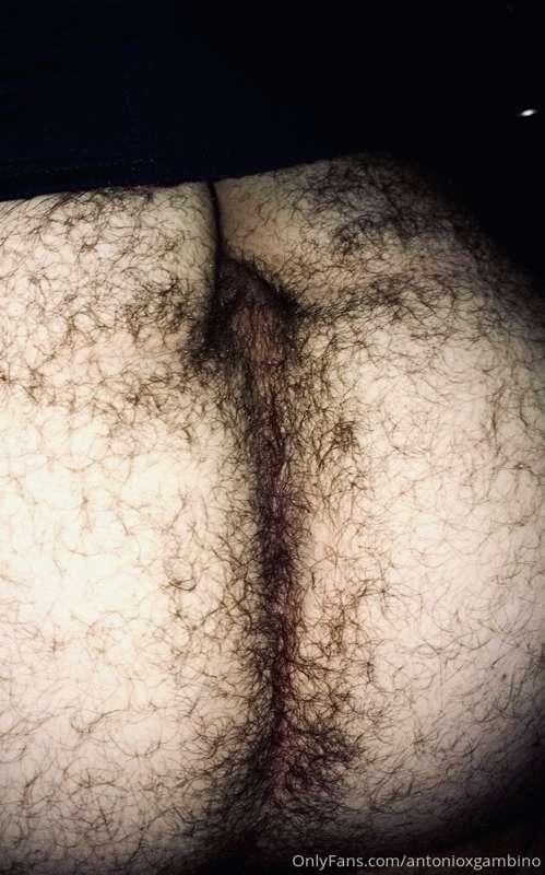 Fuck, my ass is so hairy