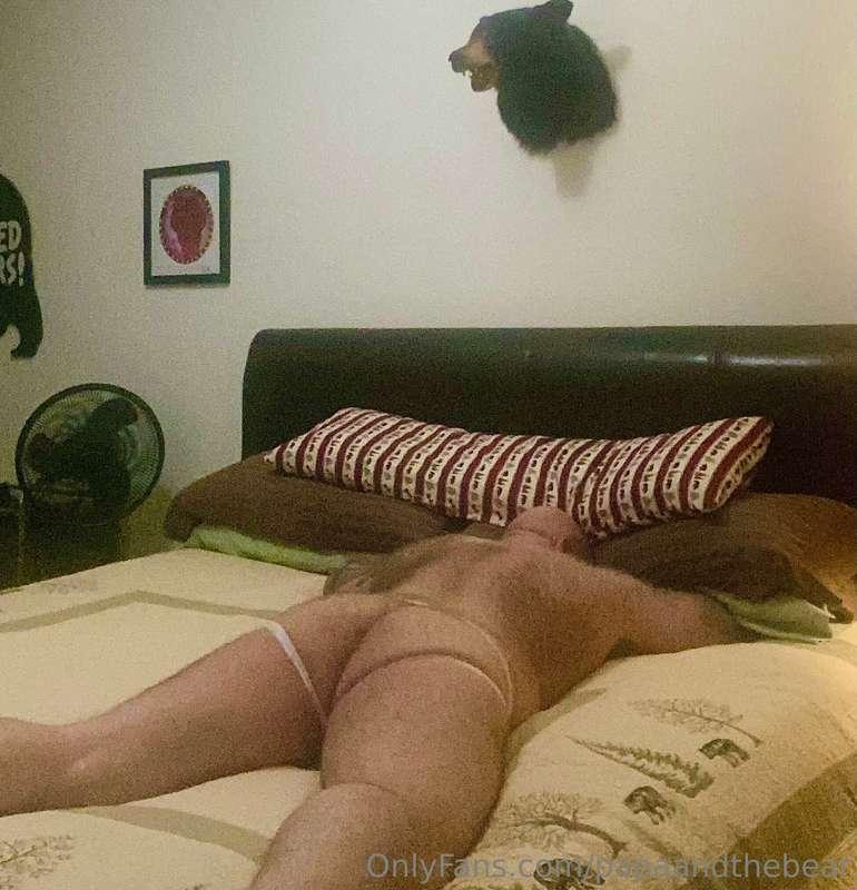 papaandthebear image #6