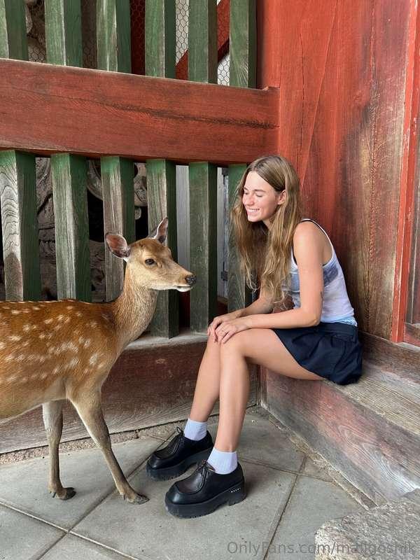 my new friend 🦌