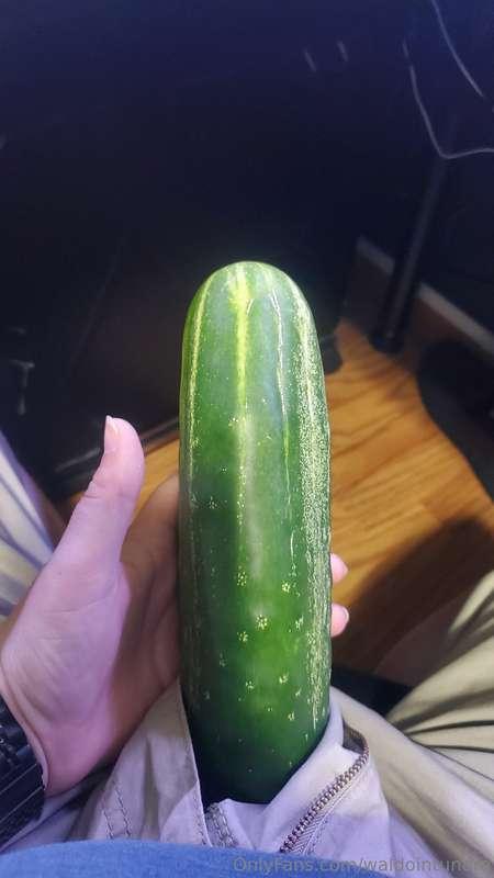 The garden is doing really well this year!