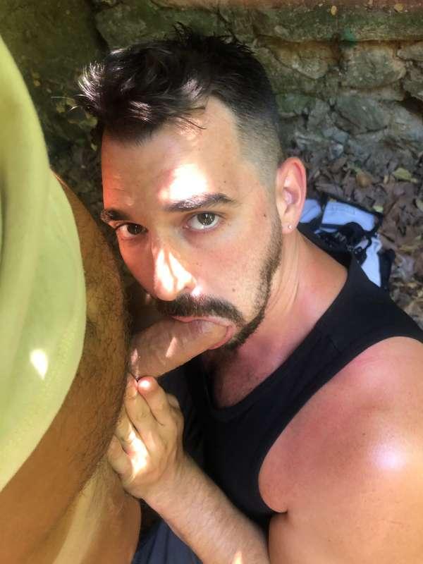 I want more cocks please!