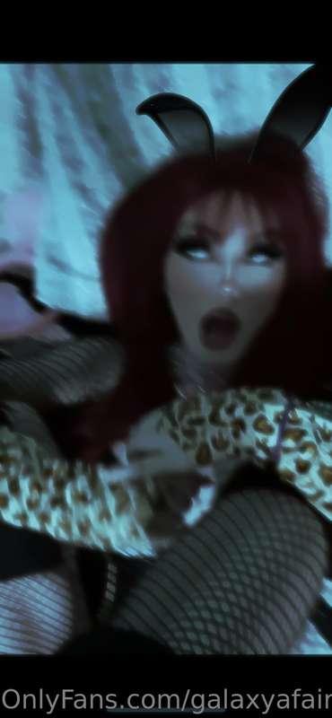 ziadoll image #4
