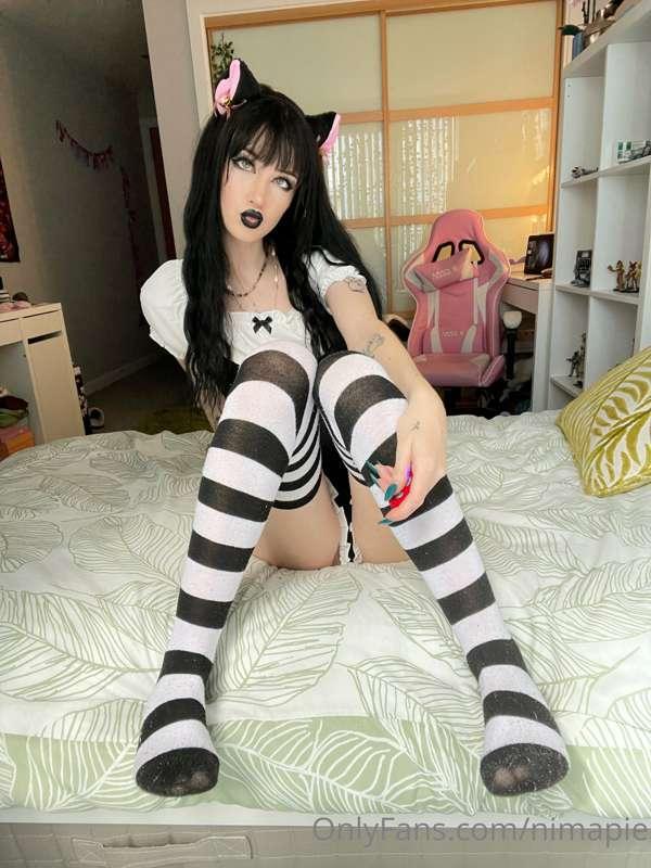 nimapie image #1
