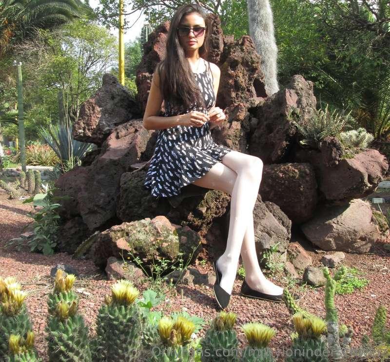 mrnyloninderschweiz image #1