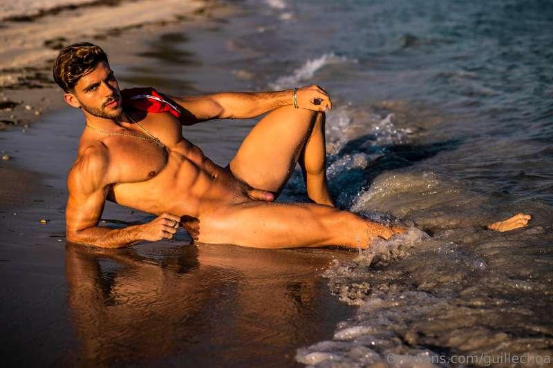 guillechoa image #2