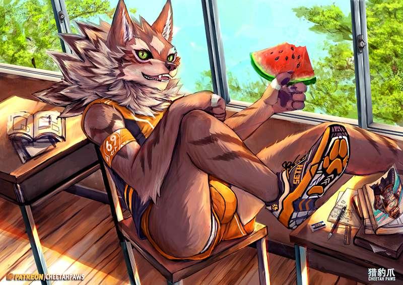 cheetahpaws main image
