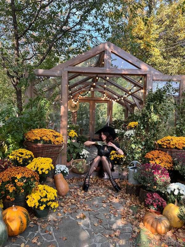 Booooo👻 did I scare you🤭? hee have you picked out your Hallo..