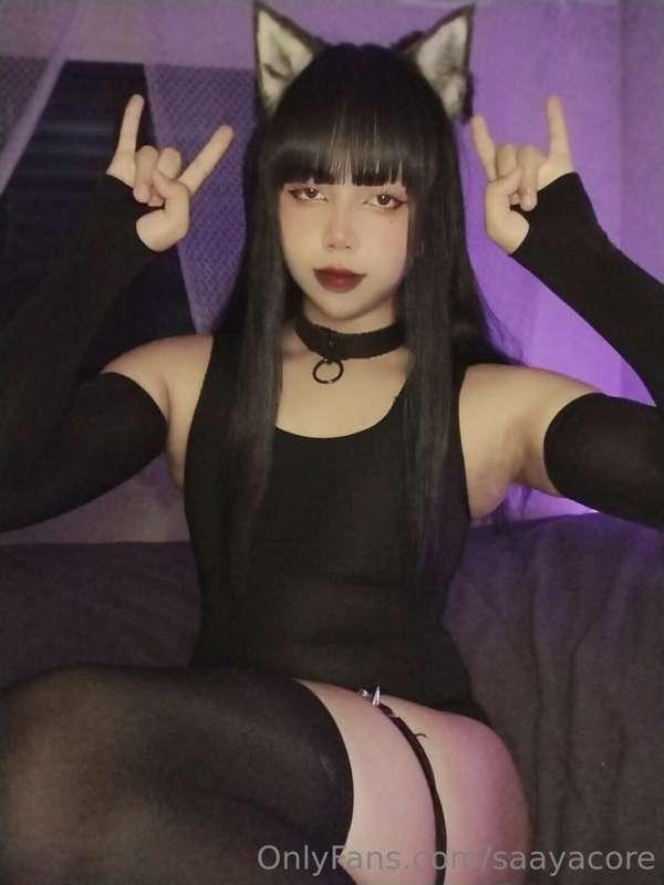 saayacore image #3