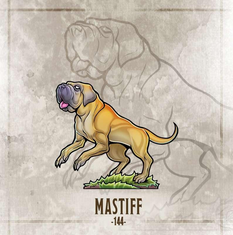 #144 Mastiff!