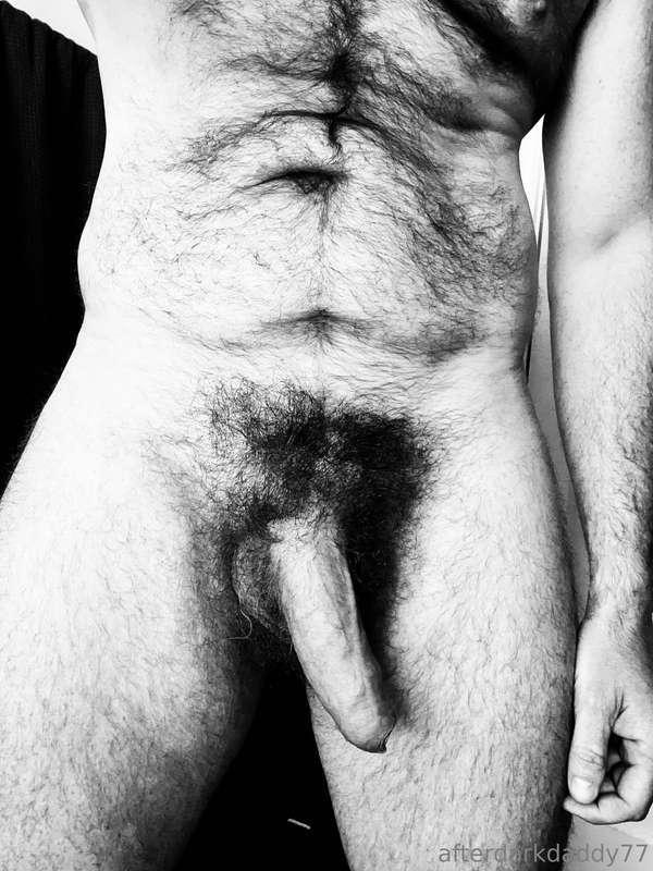 Executive decision made. 
Permanent subscription price drop ..