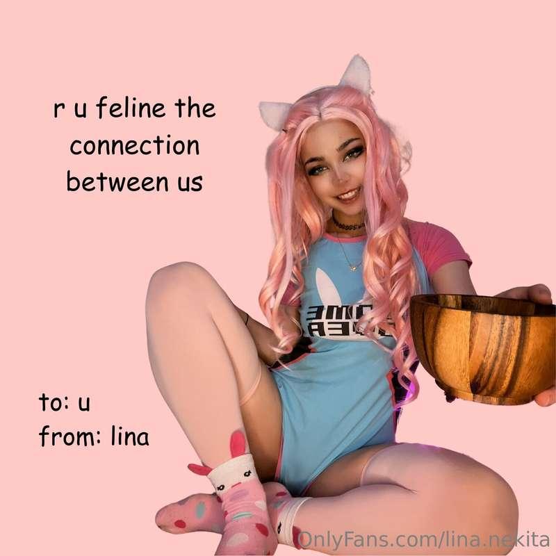 meow ✪ ω ✪
