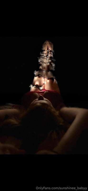 Holidays are cumming 🌲 