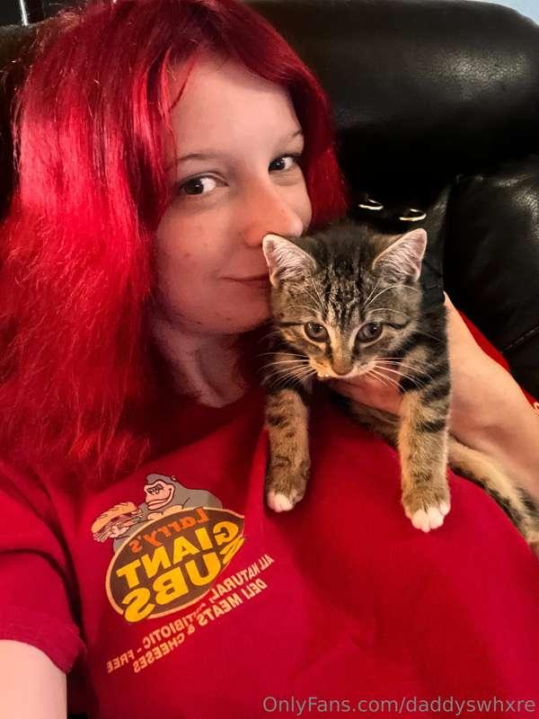 I just love showing off my cats 