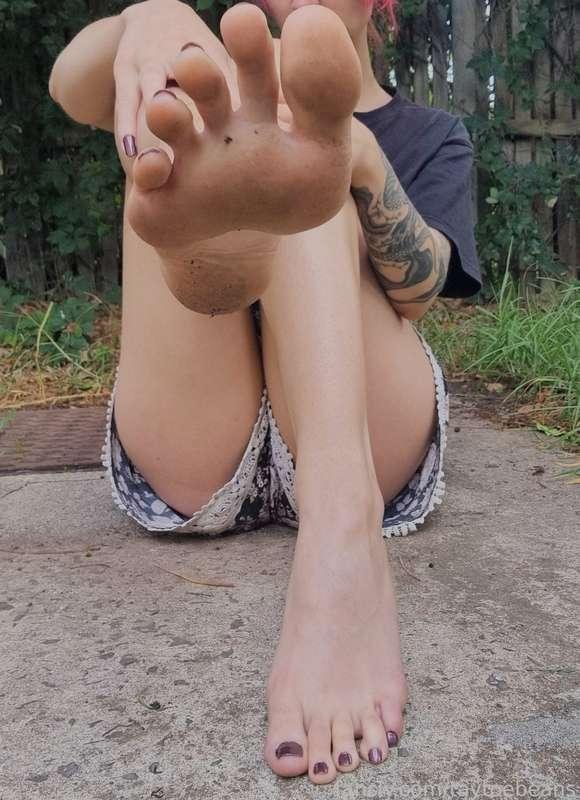taytoebeans image #3