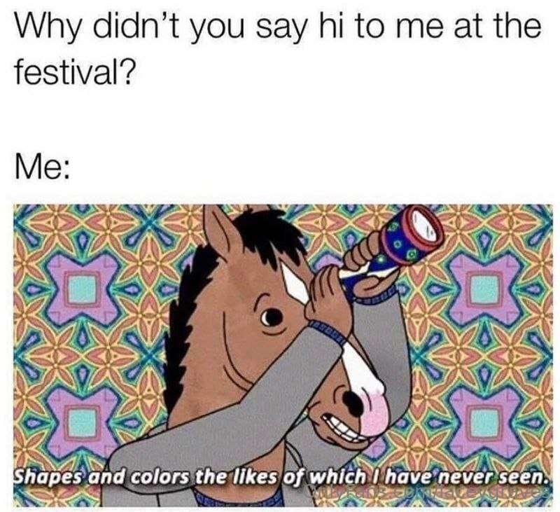 Anyone else hitting festivals this summer? 😆💕