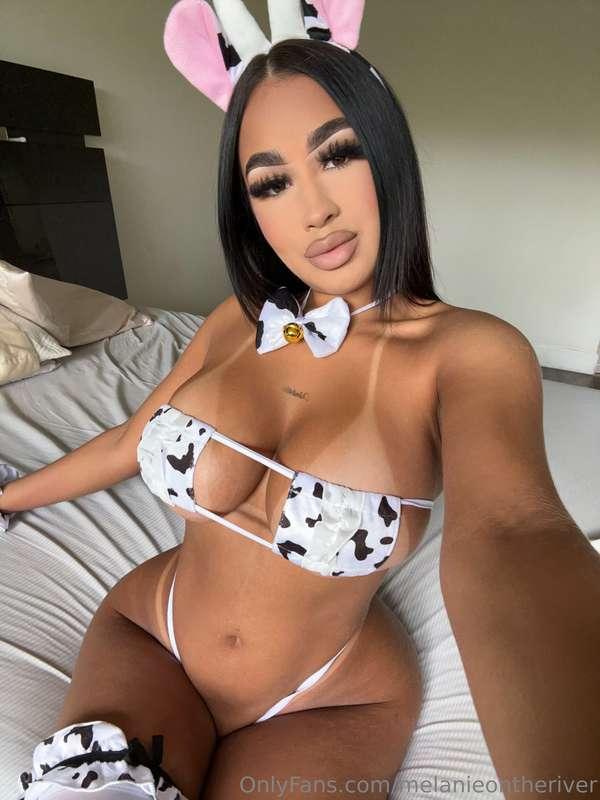 New new dropping can you guess what?🐮