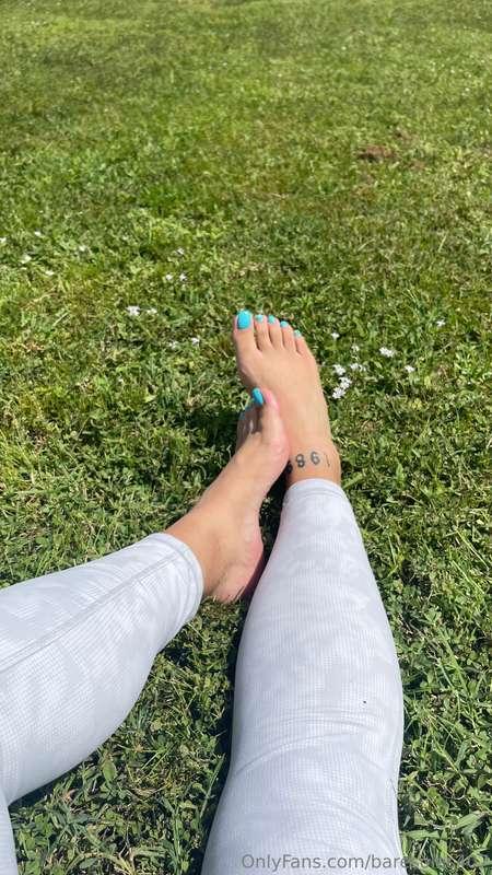 baresoles407 image #5