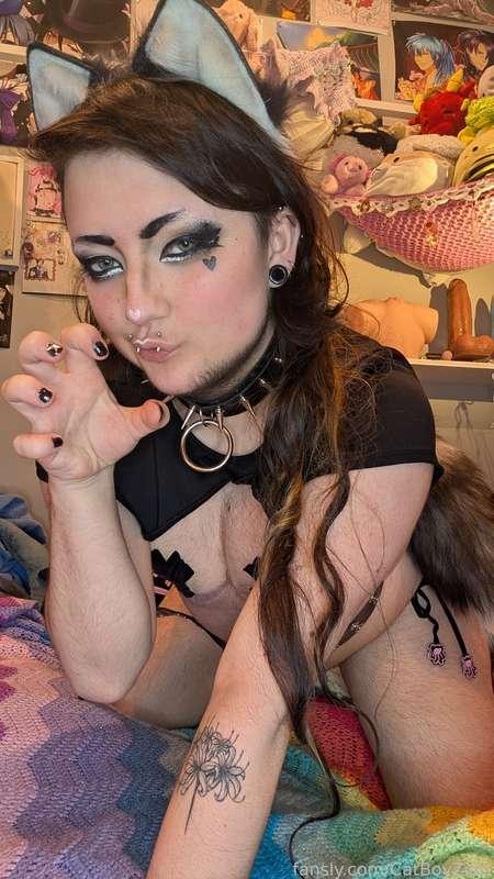 catboyzion image #2