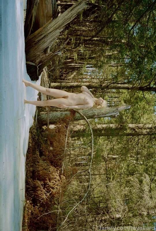 tayallard image #0