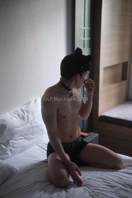 blackpaw2024 image #5