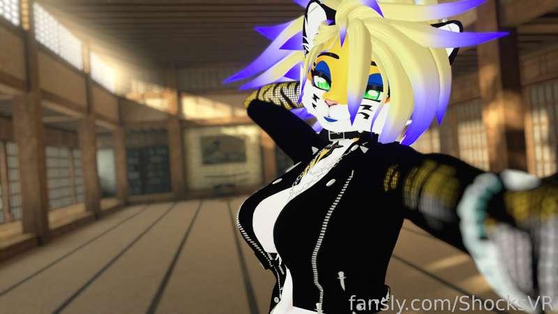 shocksvr image #1
