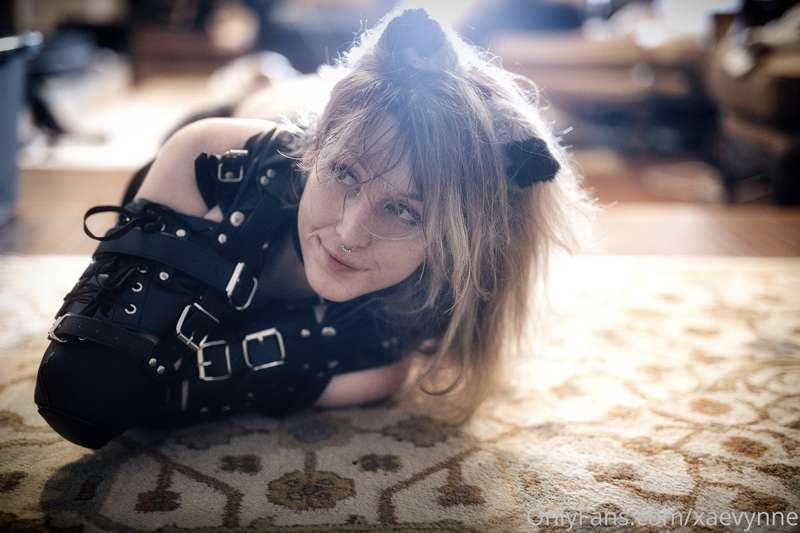 https://twitter.com/elizaevesxxx for the lovely lady who had..