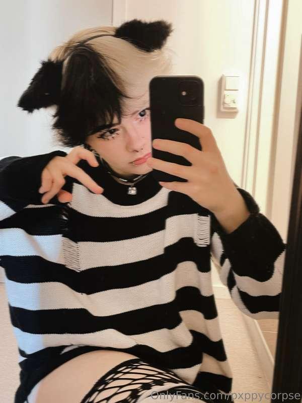 pxppycorpse image #3
